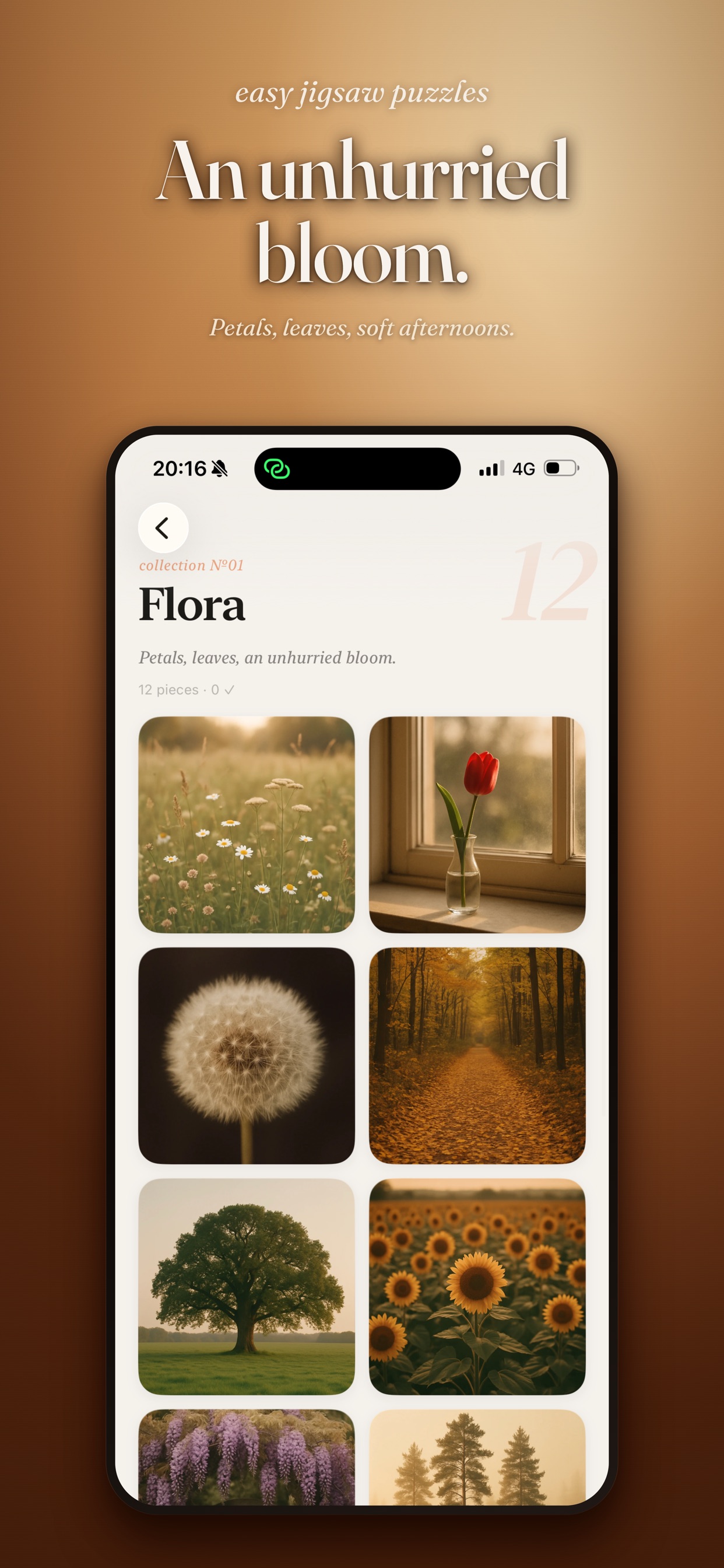 Easy Jigsaw Puzzles flora collection screen with the message An unhurried bloom.