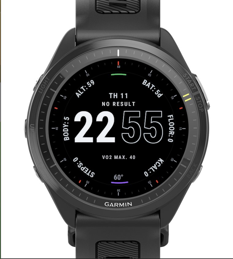 Domestique watch face preview