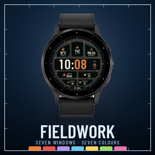Fieldwork watch face preview
